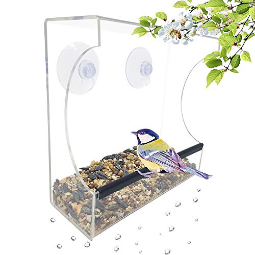 Gray Bunny Clear Window Bird Feeder, Compact Wild Birdfeeder with Drain Holes, Super Strong Suction Cups, Transparent Viewing, Covered, High Seed Capacity, Rubber Perch