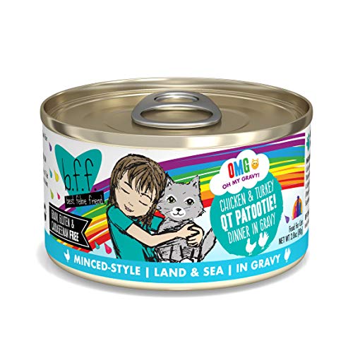 Weruva B.F.F. Omg - Best Feline Friend Oh My Gravy! Grain-Free Wet Cat Food Cans, QT Patootie! Chicken & Turkey, 2.8 oz Can (Pack of 12)