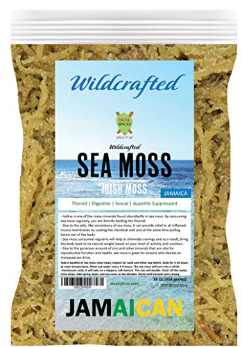 DualSpices Irish Sea Moss 16 Oz, 100% Wildcrafted Wild Sea Harvested NO Chemicals Or Preservatives, Harvested from The Protected Carribean Sea Directly from Jamaica - Non-GMO, Vegan, Superfood