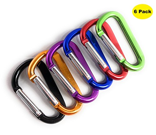 Neteez Keychain Carabiner Clip - 2.6' Small D-Ring Lightweight Color Set Key Chain Belt Clip Outdoor Backpacking Gate Snap Hook Camping, 6 pcs Pack