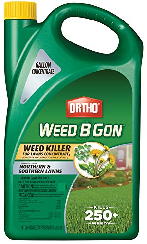 Ortho Weed B Gon Weed Killer for Lawns Concentrate2, 1 gal.