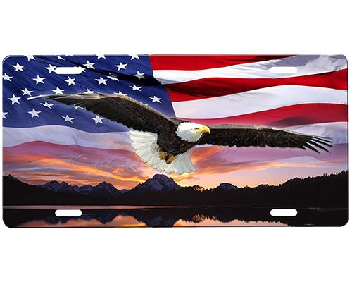 onestopairbrushshop Eagle License Plate