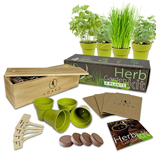 Indoor Herb Garden Starter Kit. 4 Non-GMO Herbs. Beginner Friendly DIY Kitchen Herbs Growing Kit. Wooden Box Perfect Gift Idea for Women & Men. Basil, Parsley, Cilantro, Chives.