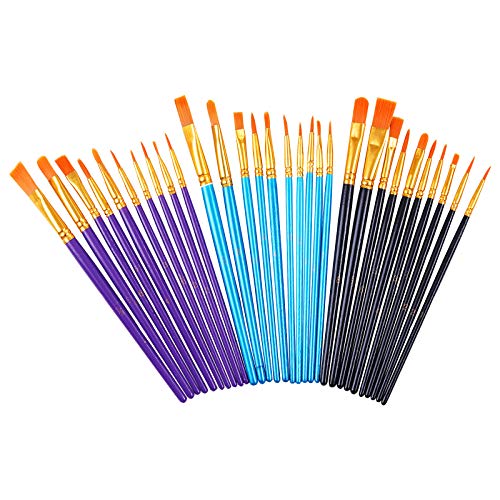 Acrylic Paint Brushes Set, 30 Pcs Artist Paintbrushes Paint Brushes for Acrylic Oil Watercolor, Face Nail Art, Canvas Body Rock Painting Kit(Blue,Purple and Black,30 Packs)