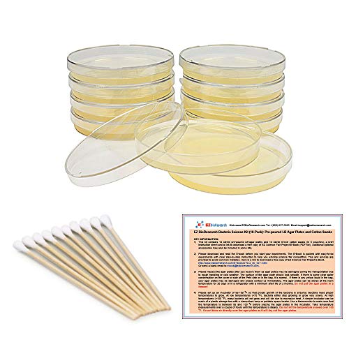 EZ BioResearch Bacteria Science Kit (IV): Top Science Fair Project Kit. Prepoured LB-Agar Plates And Cotton Swabs. Exclusive Free Science Fair Project E-Book Packed With Award Winning Experiments.