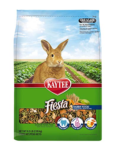 Kaytee Fiesta Rabbit Food 6.5 pounds