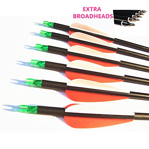Fay Outdoor Sport 12pk 600 Spine Carbon Arrows Archery Hunting Targeting Arrow with 100 Grain Points for Compound Recurve and Long Bow with Extra Field Tips (28 Inch)