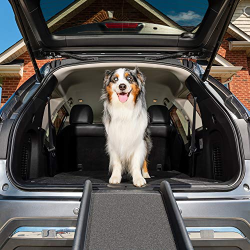 PetSafe Happy Ride Folding Pet Ramp, 62 in, Portable Lightweight Dog and Cat Ramp, Great for Cars, Trucks and SUVs - Side Rails and High Traction Surface