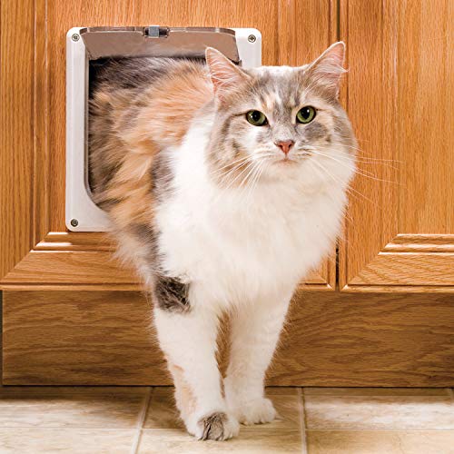 PetSafe Interior 2-Way Locking Cat Door - Indoor Pet Flap - Hides Litterbox or Food - DIY Installation