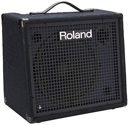 Roland KC-200 4 Channel Mixing Keyboard Amplifier, 100-Watt