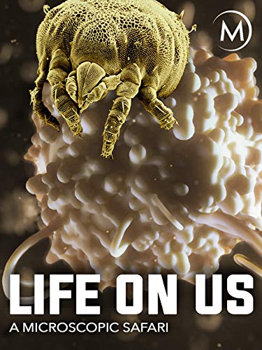 Life on Us: A Microscopic Safari