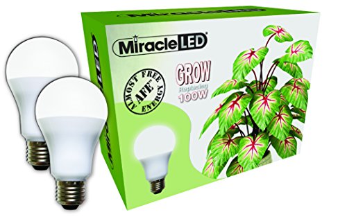 Miracle LED Almost Free Energy 100W Spectrum Grow Lite - Daylight White Full Spectrum LED Indoor Plant Growing Light Bulb for DIY Horticulture, Hydroponics, and Indoor Gardens (604301) 2Pack