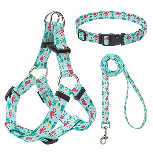 EXPAWLORER Basic Halter Dog Harnesses with Leash and Collar Set, Adjustable Soft Strap with Fashion Flamingo Design