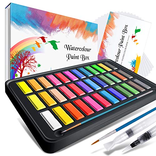 Watercolor Paint Set,Emooqi Premium Watercolour Paint Box with 36 Colors Pigment,2 Hook Line Pen,2 Water Brush Pen, Watercolor Paper Pad,for Artists, Painting,Professionals, Beginner Painters