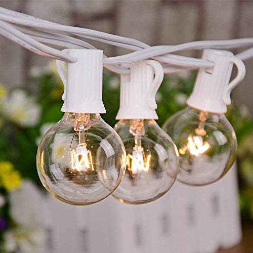 Monkeydg 25FT String Lights, G40 Outdoor String Lights Edison Light Bulbs Clear Globe String Lights with 27 Clear Bulbs for Indoor/Outdoor Commercial Decoration-White Wire