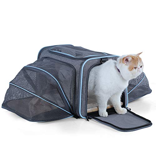 Petsfit 16'x10'x9' Cat Carrier Expandable Dog Carrier Only for Small Dogs or Tiny Pets, Expandable Pet Carrier Airline Approved Pet Carrier, Soft-Sided Two Extension (Grey and Blue Trim)