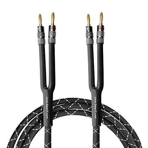 GearIT 12AWG Premium Heavy Duty Braided Speaker Wire (10 Feet) with Dual Gold Plated Banana Plug Tips - Oxygen-Free Copper (OFC) Construction, Black
