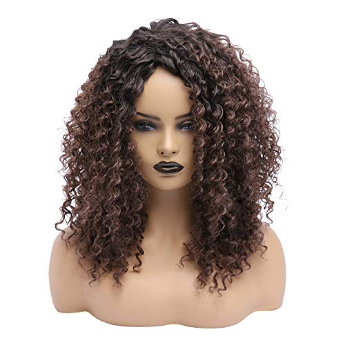 BESTUNG Short Kinky Curly Afro Wigs for Black Women Synthetic Shoulder Length Fluffy Full Wig for African American with Color Ombre Dark Roots (Ombre Brown)