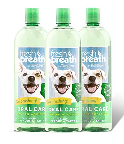 Tropiclean Fresh Breath Plaque Remover Pet Water Additive 33.8oz (Pack of 3) - Packaging may vary