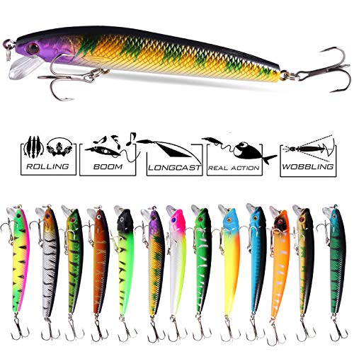 Sougayilang Hard Fishing Lures Set, Lifelike Plastic Hard Baits, Including Minnow Pencil with Hooks for Saltwater Freshwater Trout Bass Salmon(Pack of 12+1)