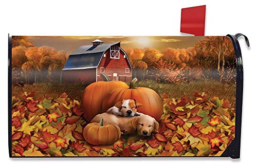 Briarwood Lane Welcome Fall Puppies Magnetic Mailbox Cover Pumpkin Barn Autumn Standard