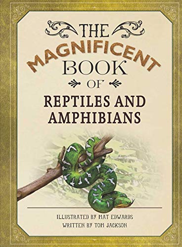Magnificent Book of Reptiles and Amphibians (The Magnificent Book of)