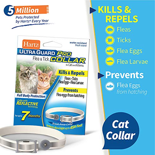 Hartz UltraGuard Pro Reflective Flea & Tick Collar for Cats and Kittens