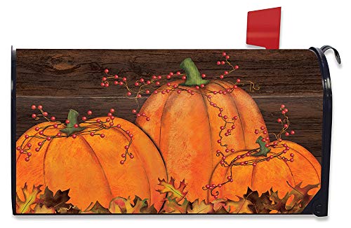Briarwood Lane Rustic Pumpkin Patch Fall Magnetic Mailbox Cover Autumn Primitive Standard