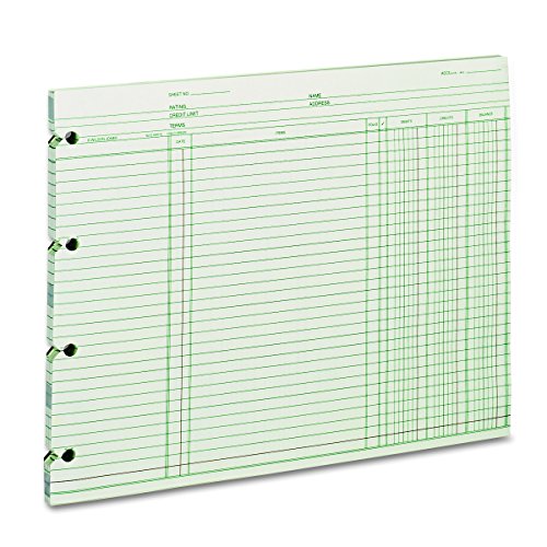 Wilson Jones GN2D Accounting, 9-1/4 x 11-7/8 (Pack of 100 Loose Sheets)