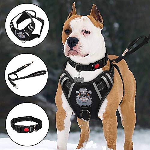 TIANYAO Dog Harness No-Pull Dog Vest Set Reflective Adjustable Oxford Material Pet Harness for Medium Large Dogs with Leash and Collar (Large(Chest:25-35'), Black)