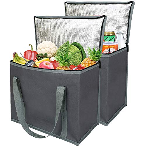 2 Insulated Reusable Grocery Shopping Bags, Xl, Large Picnic Cooler Bag Zipper Zippered Top Cold