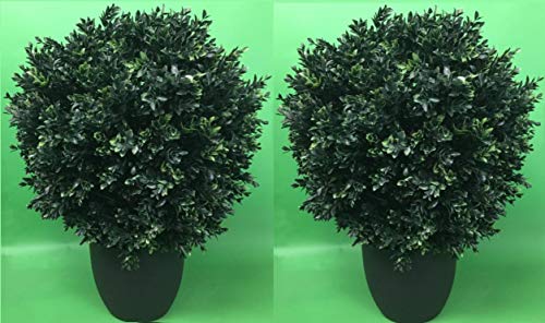 Silk Tree Warehouse Company Inc Two 26 inch Tall by 18 inches Wide Outdoor Artificial Boxwood Topiary Ball Bush Tree UV Rated in a Decorative Black Pot