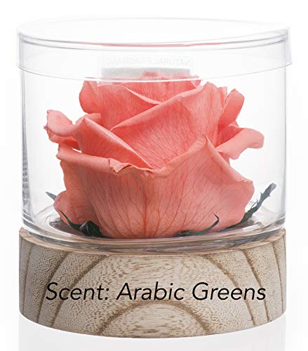Home Scent 12oz Real Fragrance Flower Lasts 4 Months Aromatherapy Birthday Gifts for Women Gifts for mom. Room Decor Bathroom Decor (Peach/Scent Arabic Green)