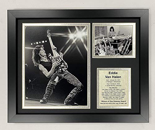 Eddie Van Halen | 12'x15' Framed Photo Collage | Legends Never Die, Inc.| Solo