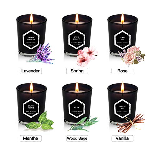 High-end Gift Box Perfume Candles | Scented Candles | Luxury Aromatherapy Candle Sets | Birthday Gifts for Mate | Highly Frangrance & Long Lasting Buring Time | Gifts for her | 15 Oz Black Jar-6 Pack