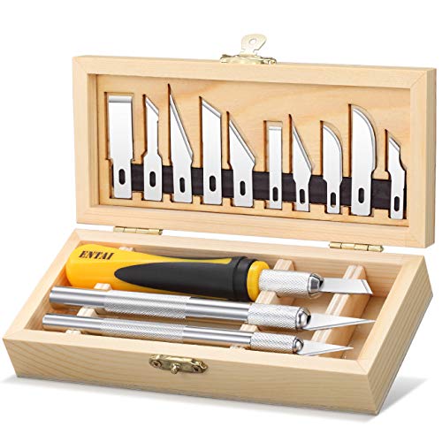ENTAI 16 Piece Precision Hobby Knife Set, with Durable Wooden Box, Professional Razor Sharp Knives for Model Building, DIY Art Work Cutting, Hobby, Scrapbook and Sculpture