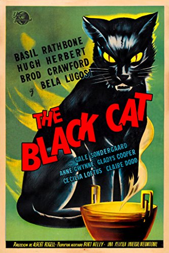 Digital Fusion Prints The Black Cat Movie Poster (1941) Poster 24' x 36' (Unframed) Certified Made with 200 Year Lifespan Archival Inks
