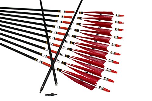 TTAD 12PCS Red Turkey Feather 31 inches Carbon Arrows Replacement Tips Targeting Arrows Archery for Recurve Longbow Hunting&Practice