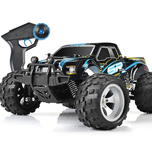 DOUBLE E RC Cars High Speed Remote Control Car for Kids Boys Adults 1:18 Scale 4WD Off Road Monster Trucks with 800mah Rechargeable Battery, 2.4Ghz Racing Cars with Two Batteries