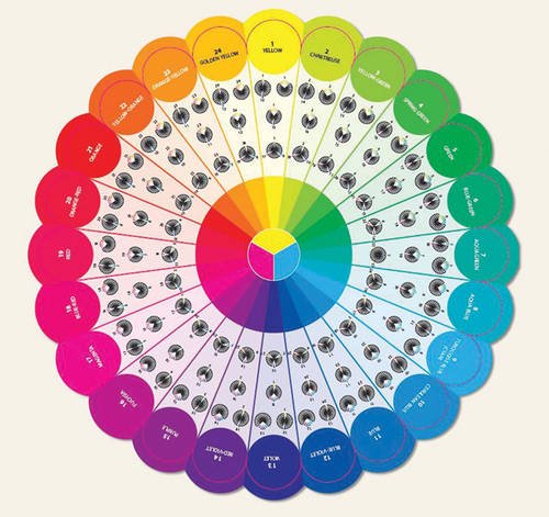 Essential Color Wheel Companion: Choose Perfect Colors with Confidence
