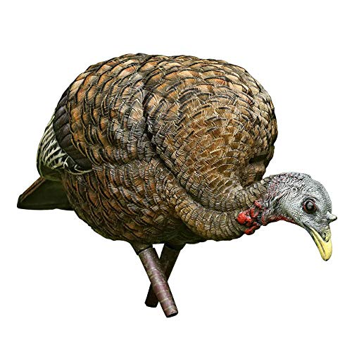 Avian-X Feeder Hen Turkey Decoy, Lifelike Collapsible Decoy With Carbon Stake and Carry Bag, Camo, One Size