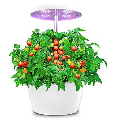 Hydroponic Gardening System, Indoor Herb Garden with Automatic Timer, Hydro Starter Kit for Beginners, Stylish Smart Planter Perfect for Home Kitchen Office, White, 4 Pods