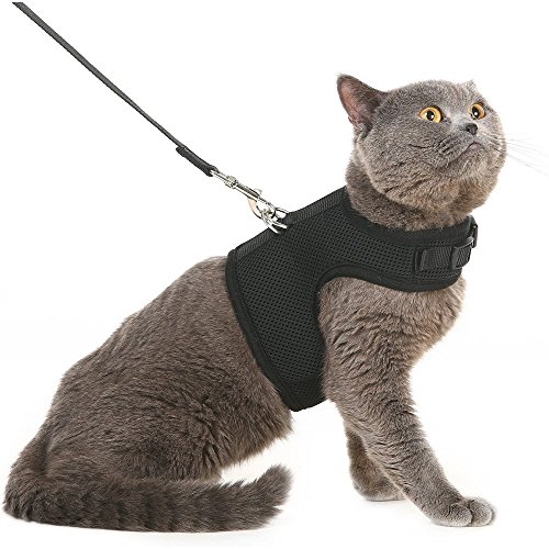Escape Proof Cat Harness with Leash - Adjustable Soft Mesh - Best for Walking Black Large
