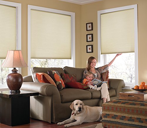 Windowsandgarden Custom Cordless Single Cell Shades, 24W x 40H, Daylight, Light Filtering 21-72 Inches Wide