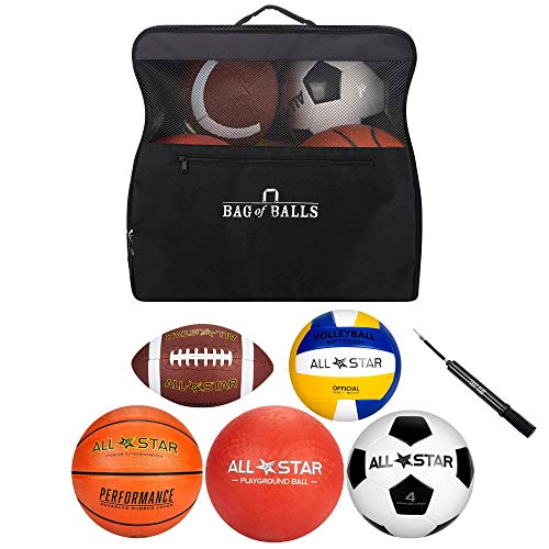 Bag of Balls – Basketball, Soccer Ball, Football, Volleyball, Playground Ball with Sports Equipment Bag and Pump