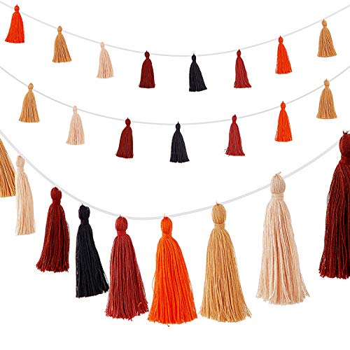 WILLBOND 4 Pieces Thanksgiving Cotton Tassel Garland Thanksgiving Garland Decorations Tassel Banner Decorative Wall Hanging for Fall Autumn Thanksgiving Halloween Party Home Decoration
