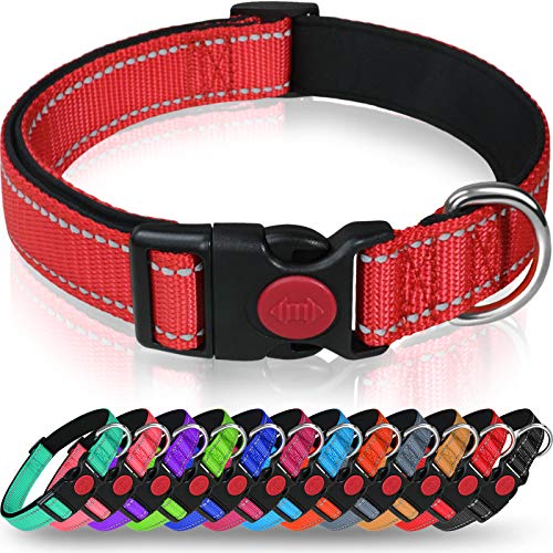 Taglory Reflective Dog Collar with Safety Locking Buckle, Adjustable Nylon Pet Collars for Small Dogs, S, Red