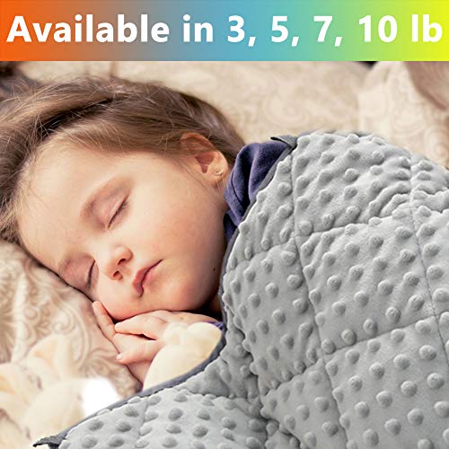 MAXTID Weighted Blanket for Toddler 3 lb 36x48 Polyester & Minky Premium Kids Heavy Blanket with Glass Beads