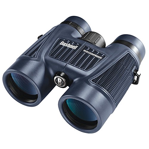 Bushnell H2O Waterproof/Fogproof Roof Prism Binocular, 8 x 42-mm, Black