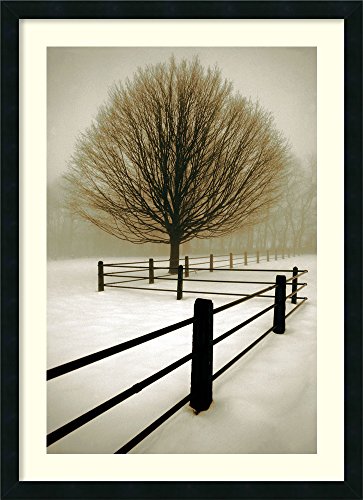 Framed Wall Art Print Solitude by David Lorenz Winston 24.00 x 33.00 in.